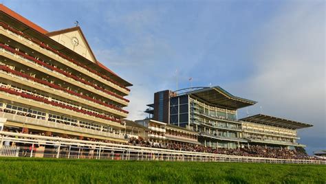 Ebor Stand Boxes .